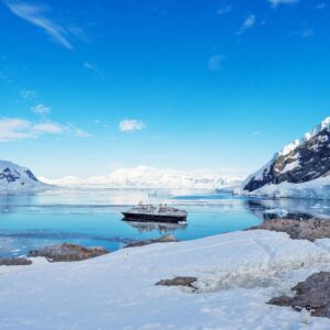 Penguin Trivia Quiz Antarctica