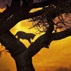 World Heritage Sites Quiz Kenya