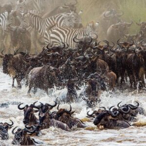 T In Geography Quiz Tanzania