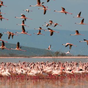 Summer Destinations Geography Trivia Quiz Kenya
