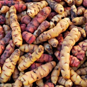 Summer Geography Quiz Potatoes