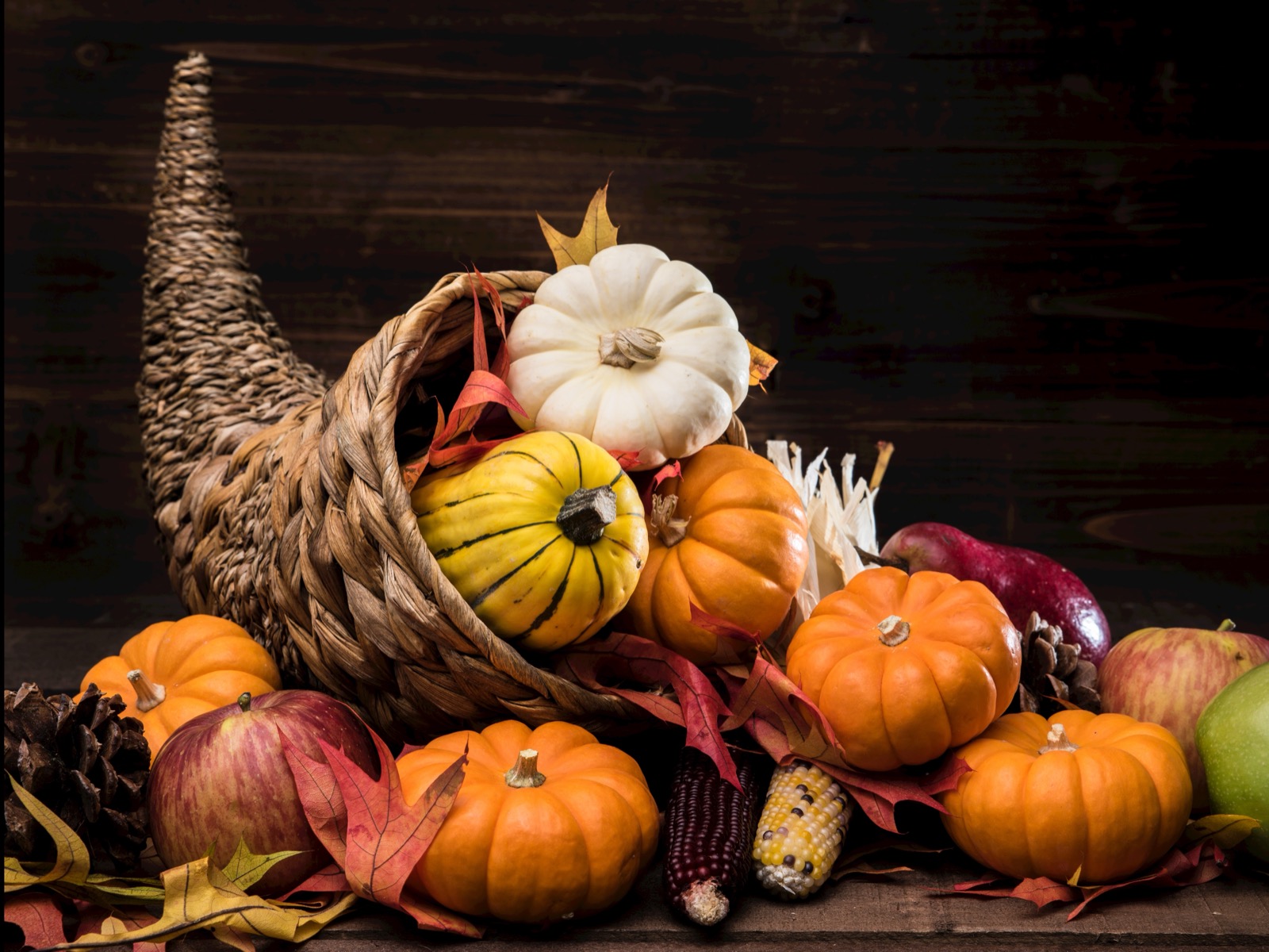 You got: Cornucopia! Gobble up Some Fall-Colored Foods and I’ll Tell You Which Fall Item 🍁 Is Your 100% Match