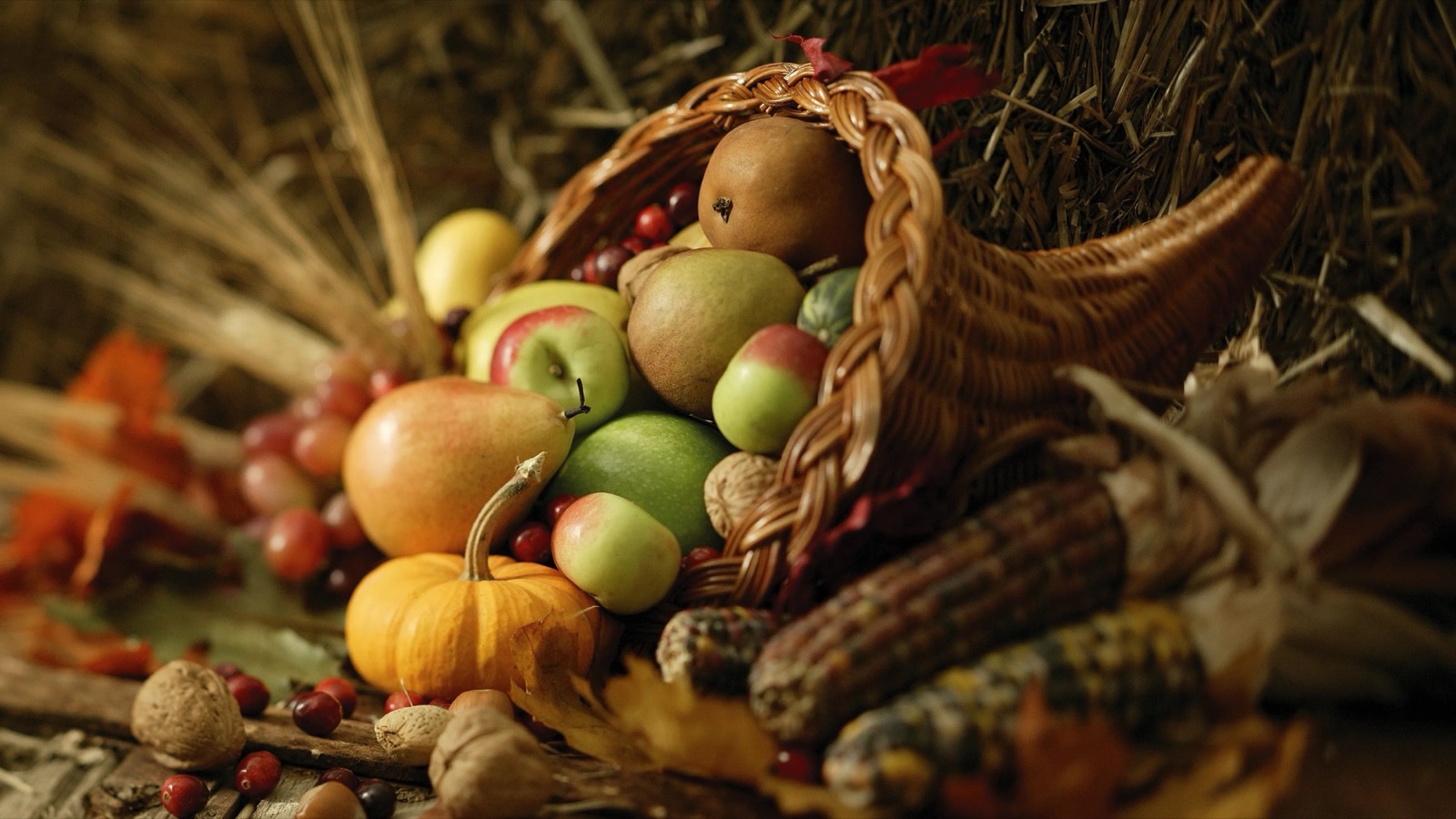 Cornucopia