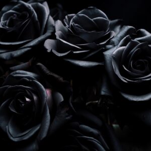 What Aesthetic Am I? Black roses