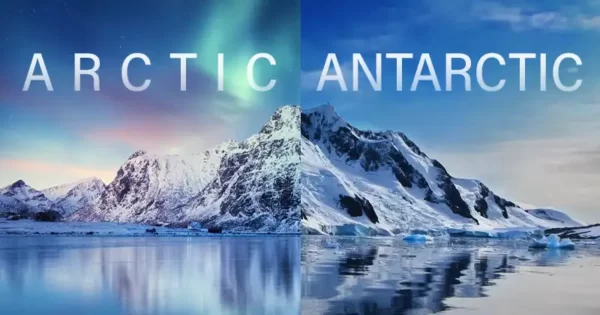 Arctic Vs Antarctic Quiz