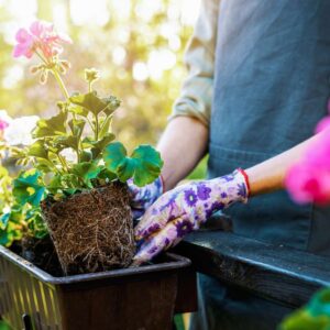 What Landscape Are You? Quiz Gardening