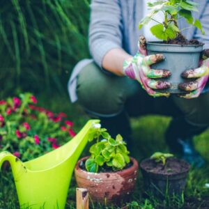 True Colors Personality Test Seeds & supplies for a green paradise