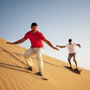 Fursona Quiz Sandboarding in the Desert