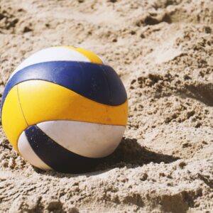 Fursona Quiz Beach Volleyball