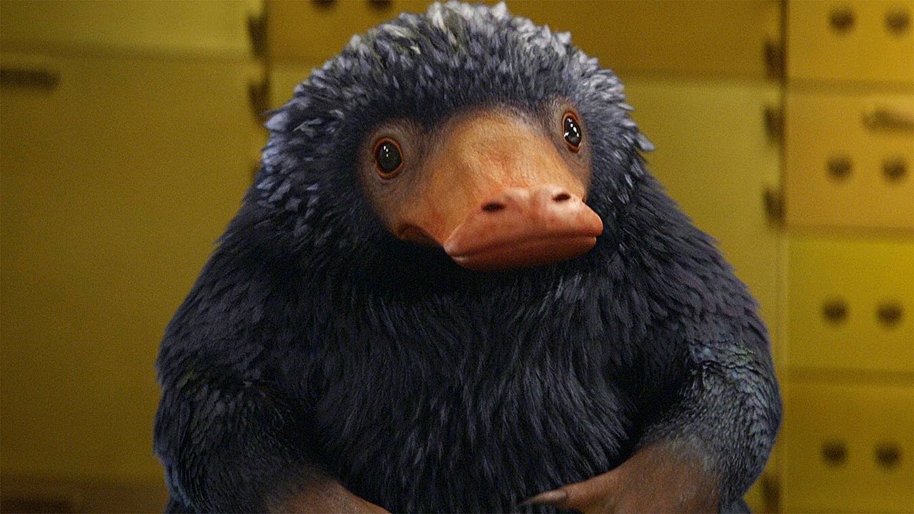 Harry Potter Magical Creatures Quiz Niffler