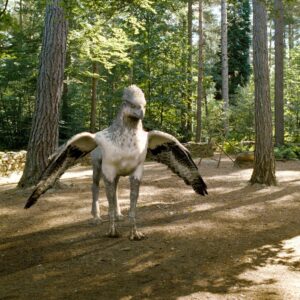 Harry Potter Magical Creatures Quiz Hippogriffs