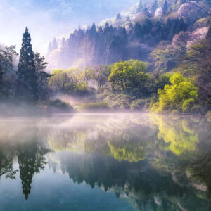What Human Emotion Am I? Quiz The beauty and complexity of nature