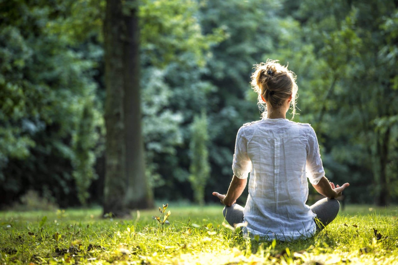 How Long Will I Live? Quiz Meditation