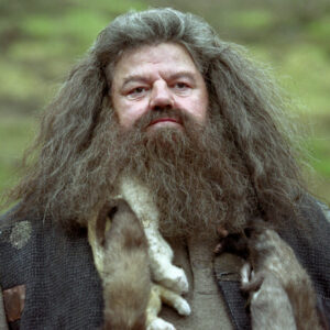 Cake Trivia Quiz Hagrid