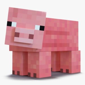 Minecraft Quiz Pig