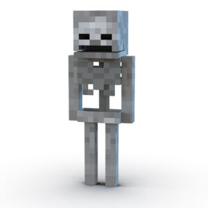 Minecraft Quiz Skeleton