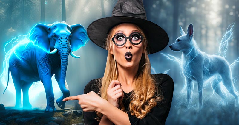 POTTERMORE QUIZ  Wand & Patronus 