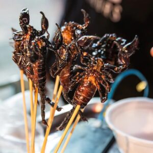 Are You A Carnivore Or Herbivore? Quiz Ants or bugs