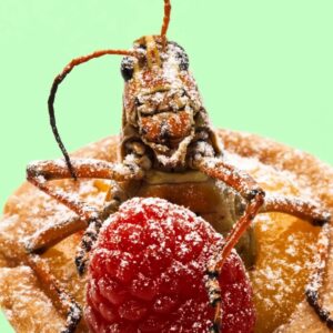 Create Gross Pizza To Know Which Gen Z Word You Are Quiz Edible insects