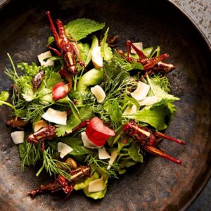 Are You A Carnivore Or Herbivore? Quiz Insect-based protein as a topping