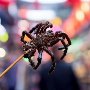 Are You A Carnivore Or Herbivore? Quiz Edible insects