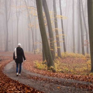 Are You A Desert, Forest, Mountain, Or Ocean? Quiz Cool and misty