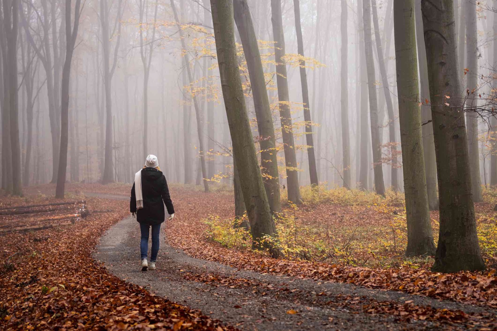 You got: Nature Walk! Spend a Cozy Fall Day 🍁 to Find Your Ideal Self-Care Activity