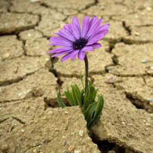 Are You A God, A Titan, A Demigod, Or A Mortal? Quiz Resilience