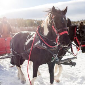 Which Winter Legend Are You? Quiz A sleigh full of toys