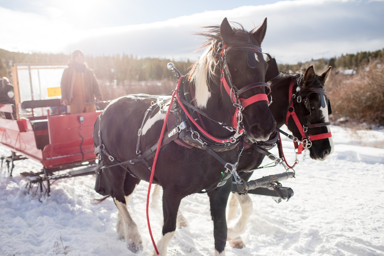 Christmas Trivia Chain Quiz Sleigh