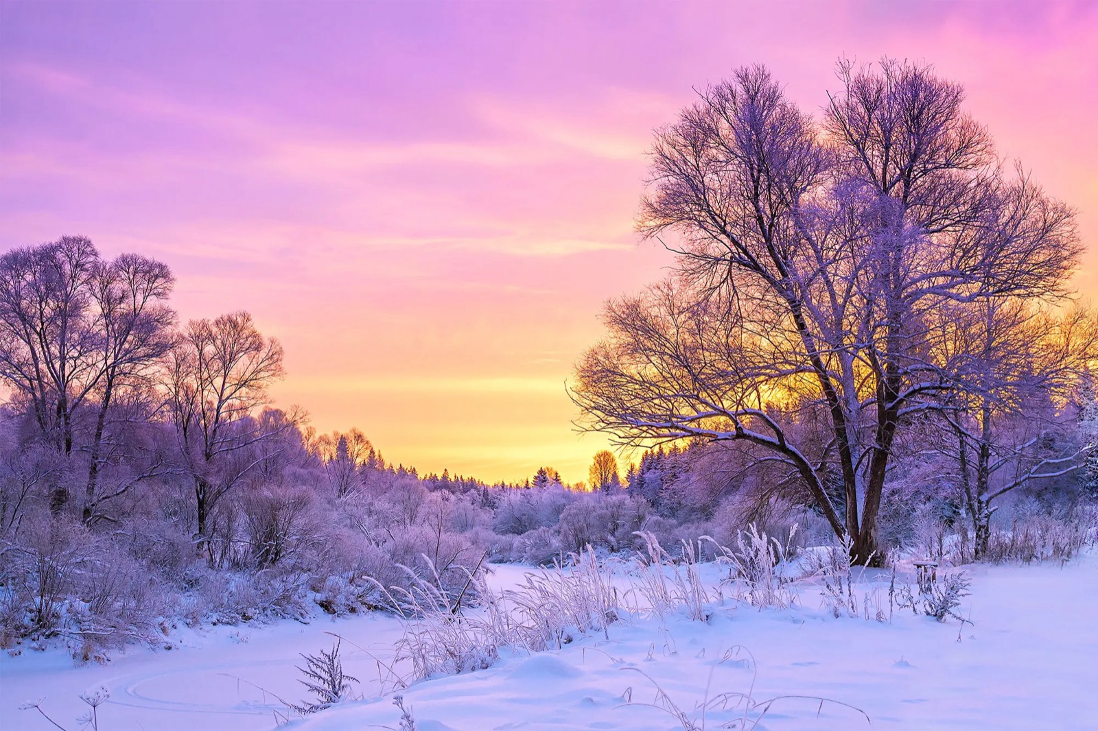 Which Winter Beverage Are You? Quiz Winter