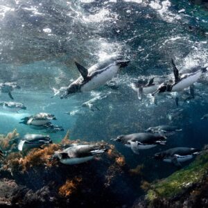 Which March Holiday Are You? Quiz Cruise to the Galápagos Islands