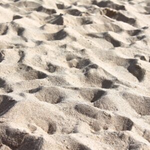 Desert Trivia Quiz Sandy soil