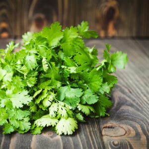C Trivia Quiz Cilantro