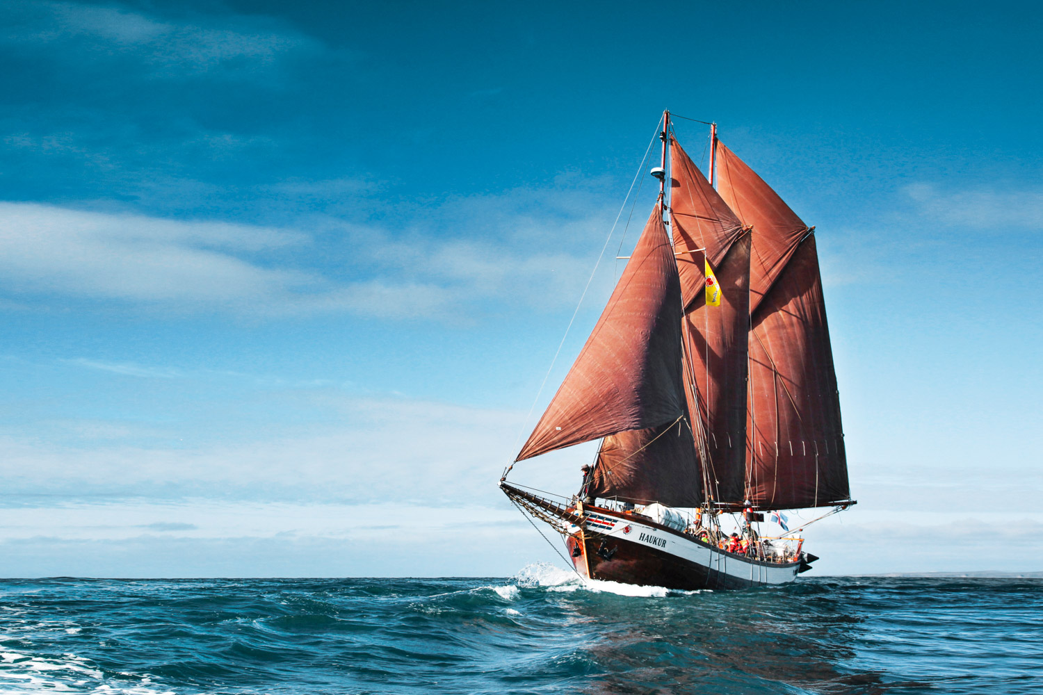 What Type Of Shark Are You? Quiz Sailing boat