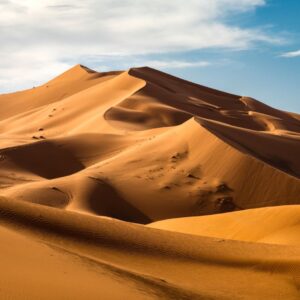 Pick Places You Want To Visit & I'll Guess How Many Cou… Quiz The Sahara