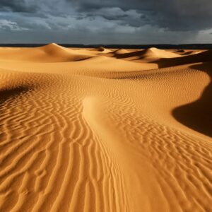Guess The Book Titles Quiz Desert