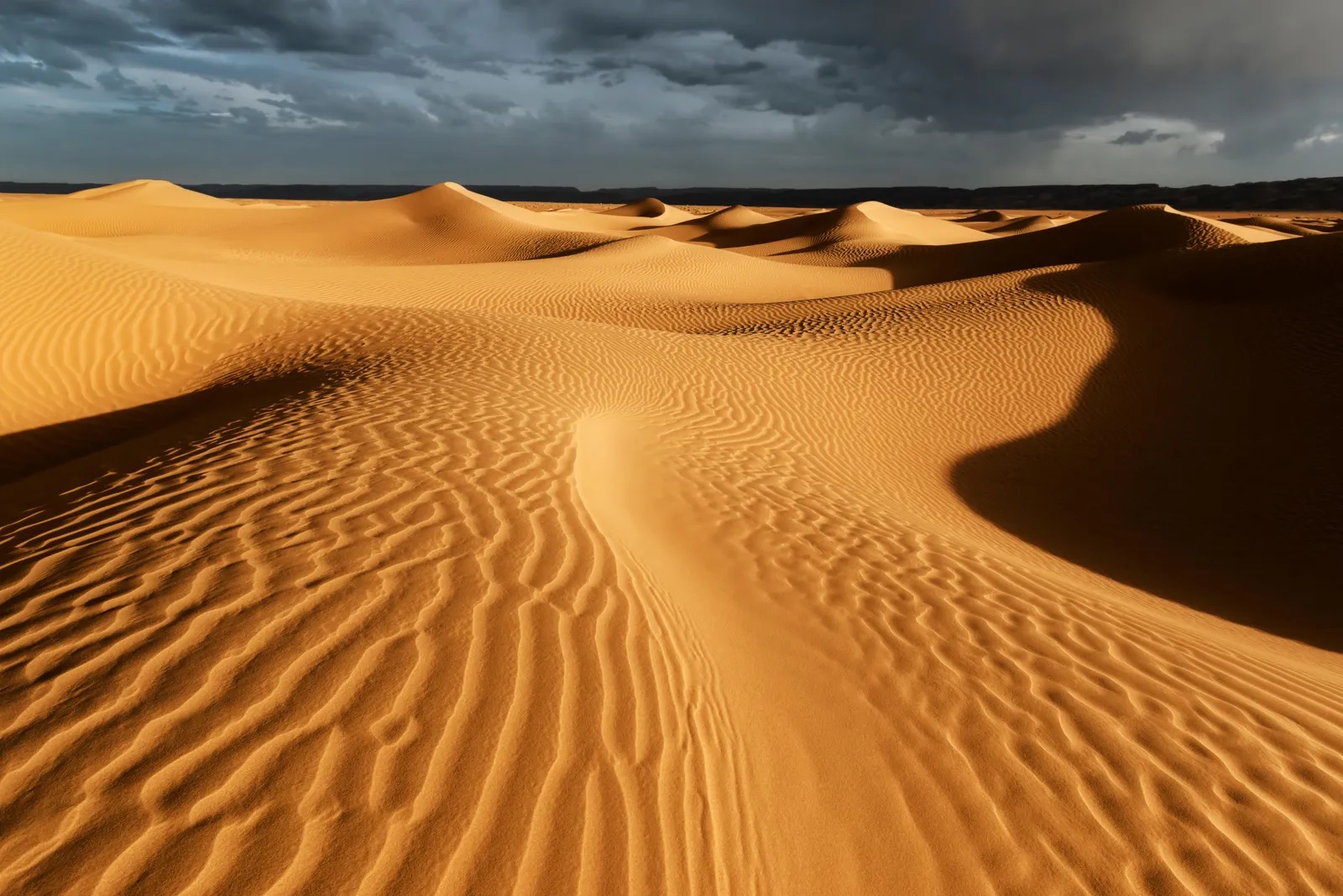 Desert Trivia Quiz Sahara Desert