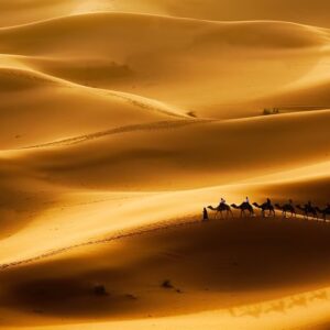 What Art Movement Are You? Quiz Desert dunes
