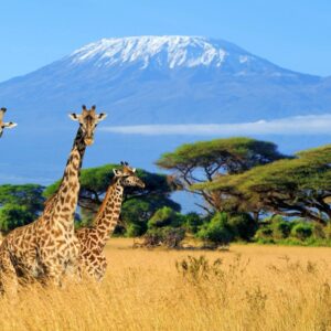 T In Geography Quiz Tanzania