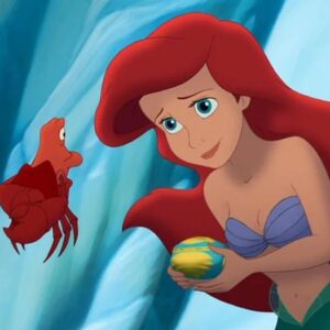 What Type Of Dolphin Are You? Quiz Ariel
