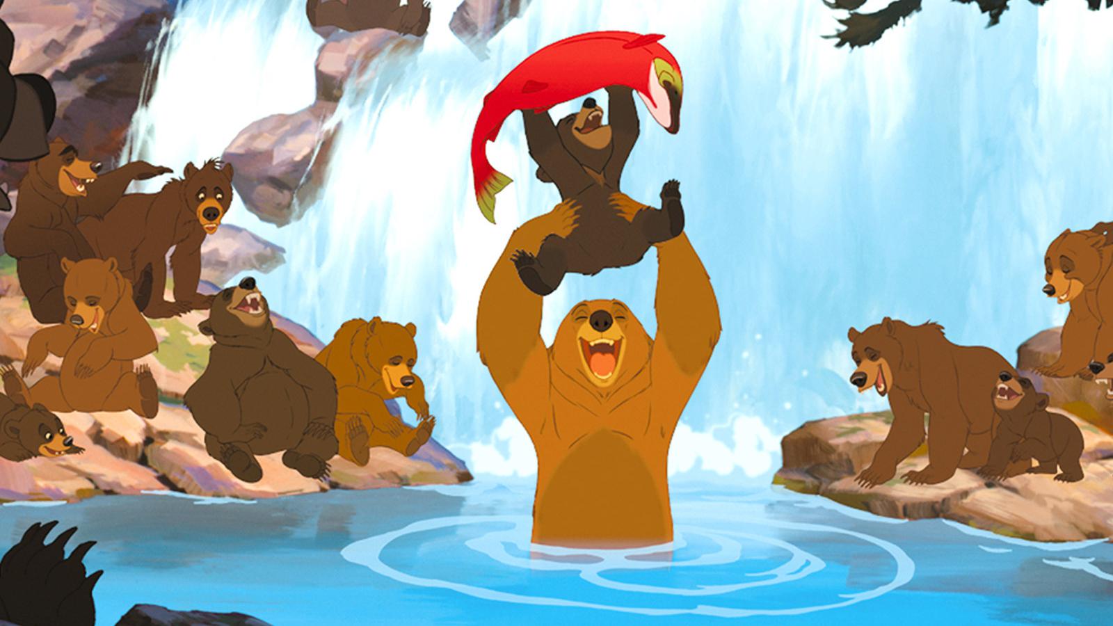 Brother Or Sister Quiz Brother Bear