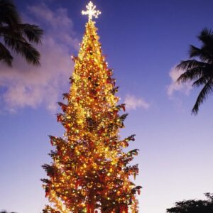 Holiday Idioms Quiz Tree