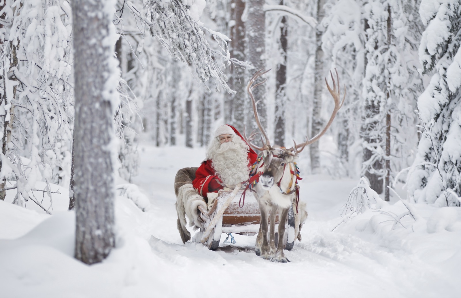 Christmas Traditions Around The World Joulupukki