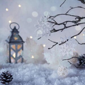 What Should I Eat For Breakfast? Quiz Snowy