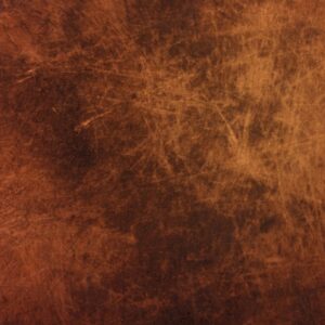 Missing Colors Place Quiz Brown