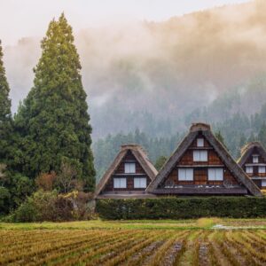 Cowboy, Fairy, Angel, Or Knight Quiz Quiet village