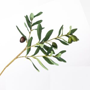 New Year's Eve Trivia Quiz An olive branch