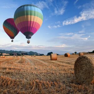 Which March Holiday Are You? Quiz Researching and finding unique experiences