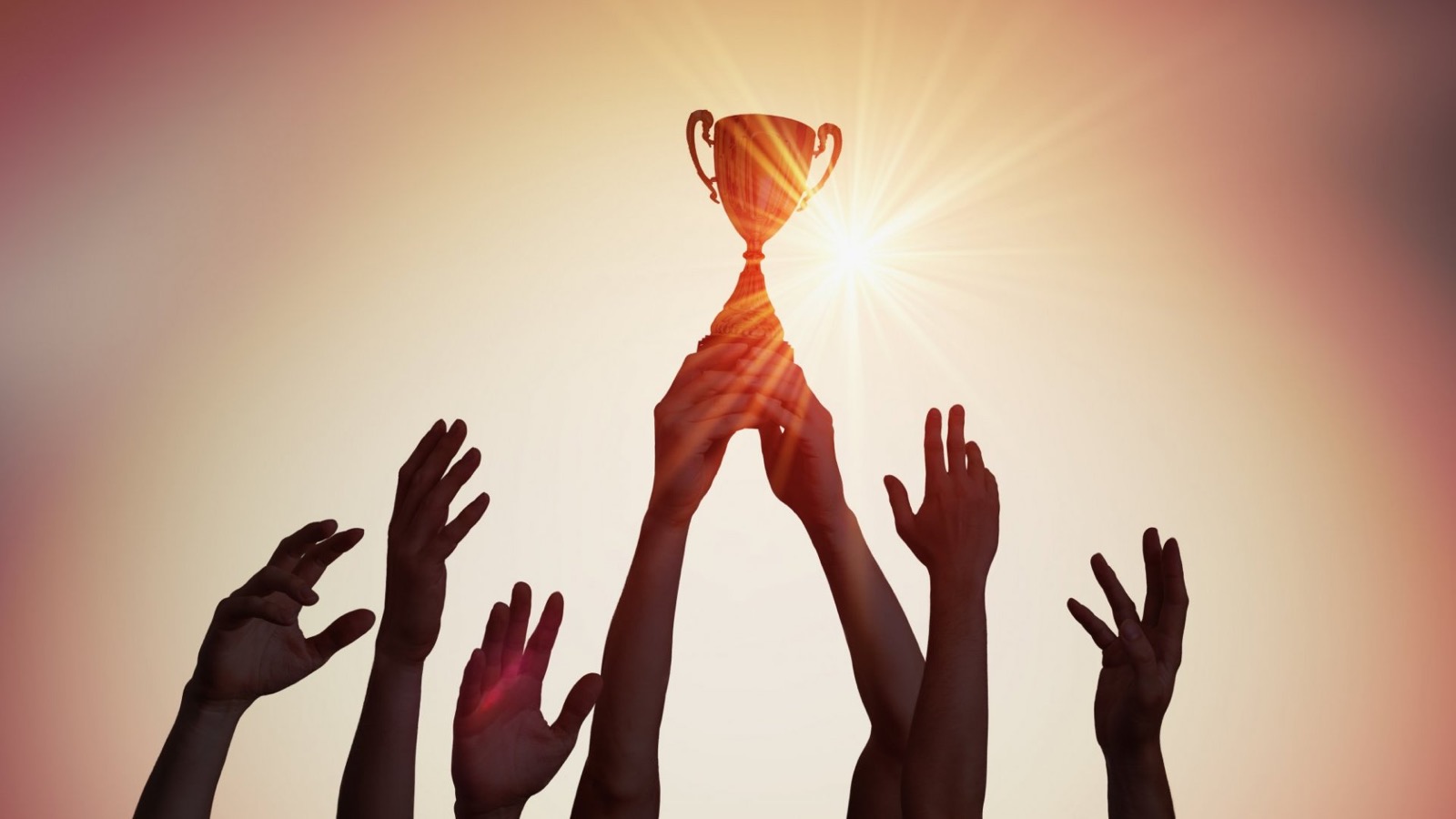 Light Triad Test Award recognition praise success
